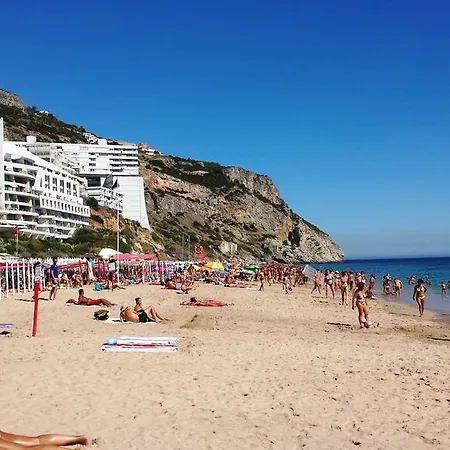 Vakantiehuis Casa Papagaios *